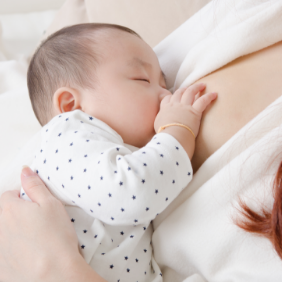 乳管温存法による授乳機能の保持