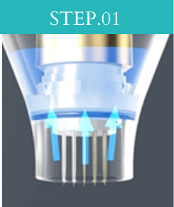 STEP01